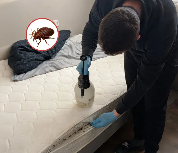 Technicien traitant un matelas contre les punaises de lit à Clamart